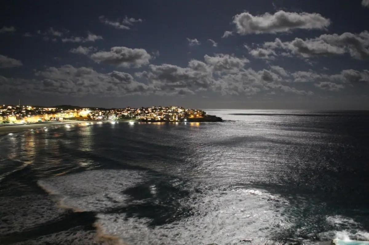 Studio Bondi Beach ซิดนีย์ ภายนอก รูปภาพ